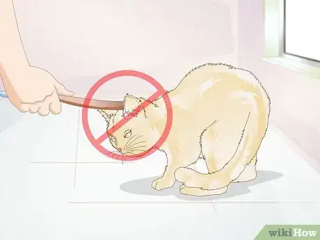 Imagen titulada Keep a Cat from Kicking the Litter out of the Litterbox Step 4