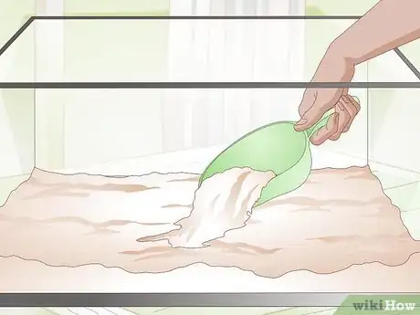 Imagen titulada Care for a Soft Shelled Turtle Step 3