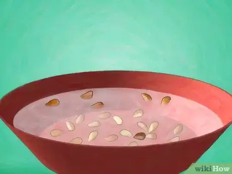Imagen titulada Grow Roses from Seed Step 5