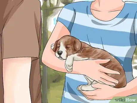 Imagen titulada Pick Up a Puppy Step 9