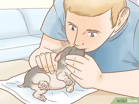 Imagen titulada Revive a Puppy Step 7