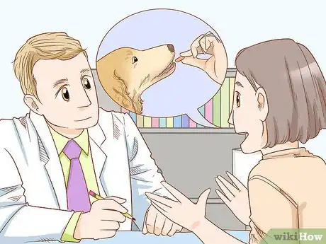 Imagen titulada Get Rid of Ringworm in Dogs Step 1