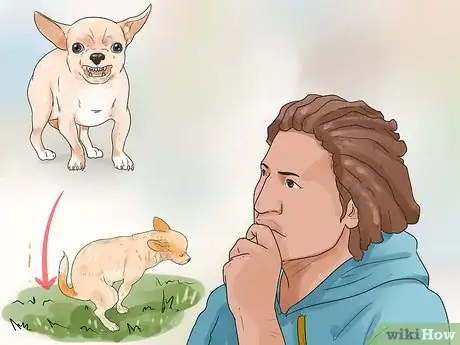 Imagen titulada Care for Your Chihuahua Step 19