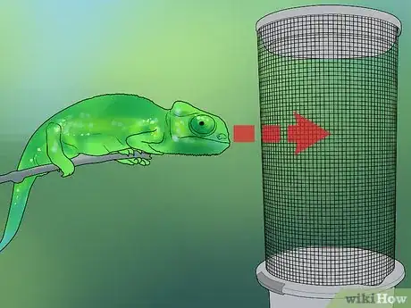 Imagen titulada Build a Reptile Cage Step 1