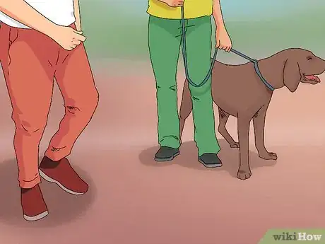 Imagen titulada Help a Dog in Heat Step 10