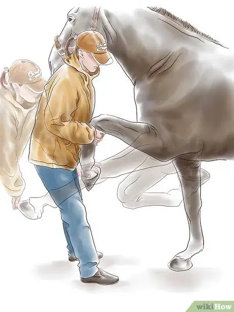 Imagen titulada Stretch a Horse Step 8