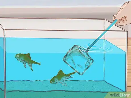 Imagen titulada Sanitize a Fish Tank Step 1