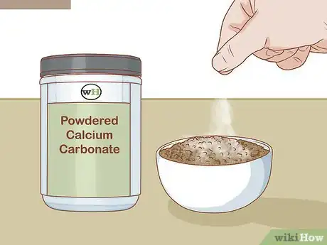 Imagen titulada Care for Turtles Step 11