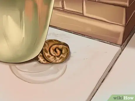 Imagen titulada Deal With a Snake in the House Step 9
