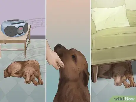 Imagen titulada Treat a Dog for Rabies Step 13