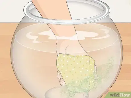 Imagen titulada Clean a Betta Fish Bowl Step 8