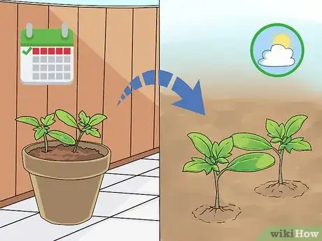Imagen titulada Grow Delphinium Step 8