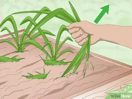Imagen titulada Keep Soil Moist Step 6