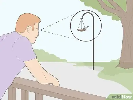 Imagen titulada Attract Pigeons Step 4