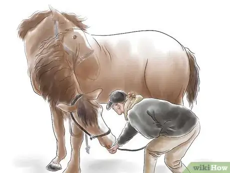 Imagen titulada Stretch a Horse Step 6