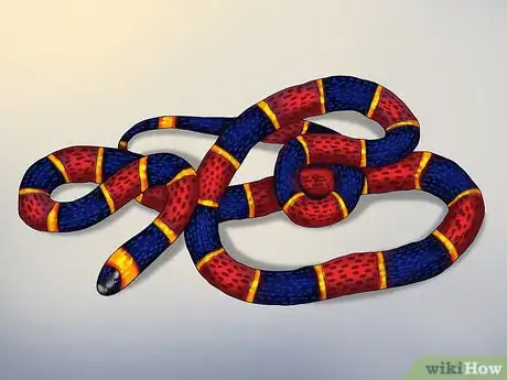 Imagen titulada Deal With a Snake in the House Step 2