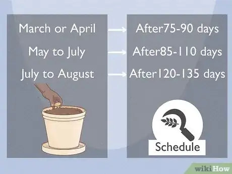 Imagen titulada Plant Potatoes in Pots Step 9