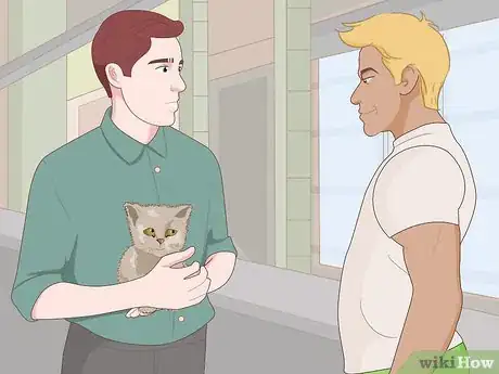 Imagen titulada Catch a Stray Kitten Step 3