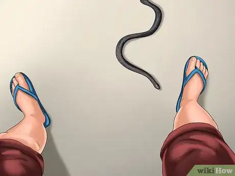 Imagen titulada Deal With a Snake in the House Step 4