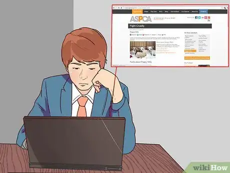Imagen titulada Buy a Puppy Step 12