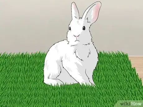 Imagen titulada Make Homemade Rabbit Toys Step 3