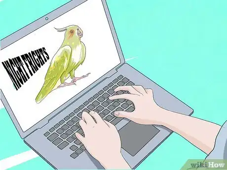 Imagen titulada Take Care of a Cockatiel Step 17