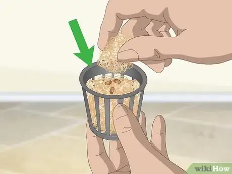 Imagen titulada Build a Hydroponics System Step 11