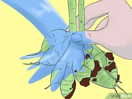 Imagen titulada Overwinter Dahlias Step 4