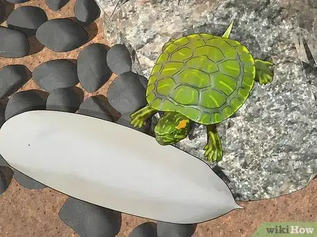 Imagen titulada Look After a Turtle Step 10
