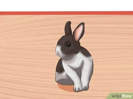 Imagen titulada Care for a House Rabbit Step 1