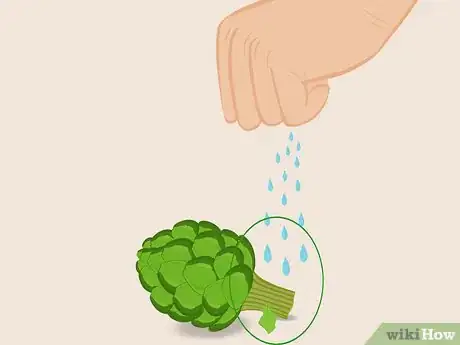 Imagen titulada Select and Store Artichokes Step 5