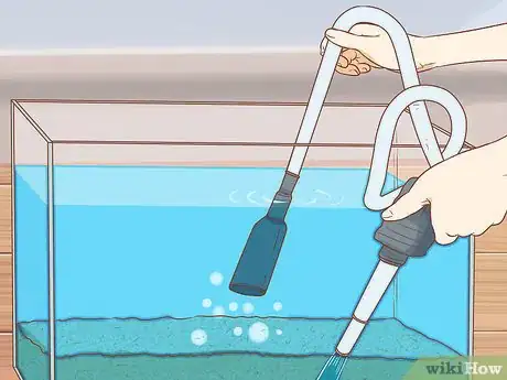 Imagen titulada Sanitize a Fish Tank Step 3