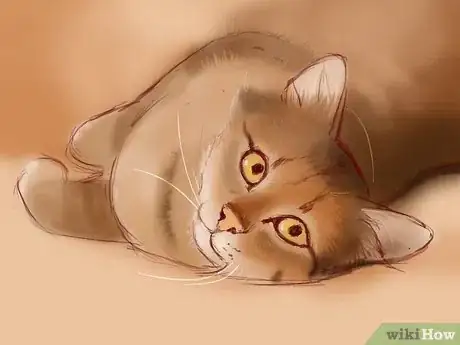 Imagen titulada Deal With a Cat Scratch Step 1