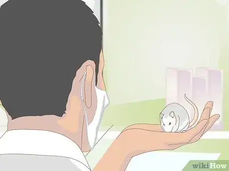 Imagen titulada Treat Mice With Penile Prolapse Step 12