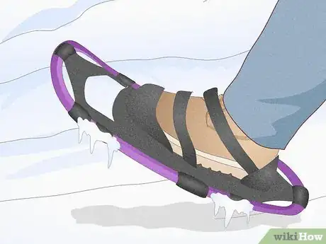 Imagen titulada Snowshoe Step 3