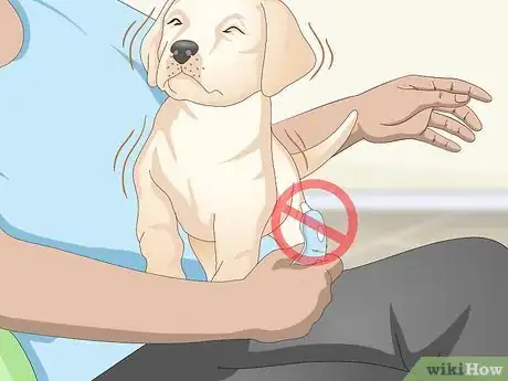 Imagen titulada Measure a Dog's Temperature Step 13