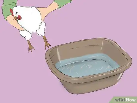 Imagen titulada Get Rid of Chicken Mites Step 22