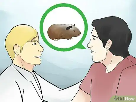 Imagen titulada Avoid Poisoning Your Guinea Pig Step 15