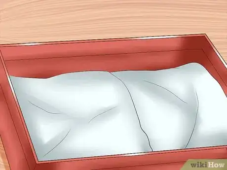 Imagen titulada Breed a Pet Ferret Step 10