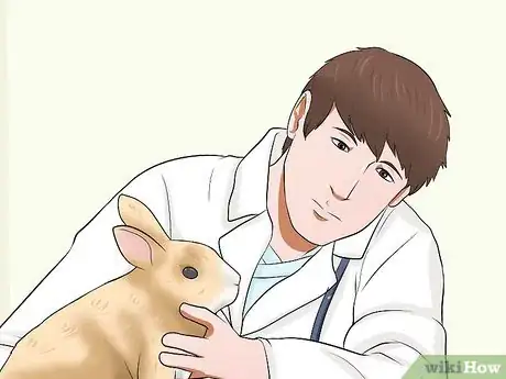 Imagen titulada Care for a House Rabbit Step 7