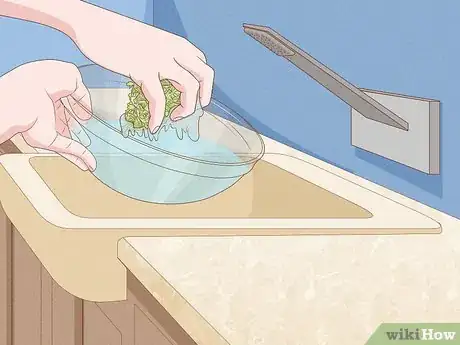 Imagen titulada Grow Microgreens Step 15