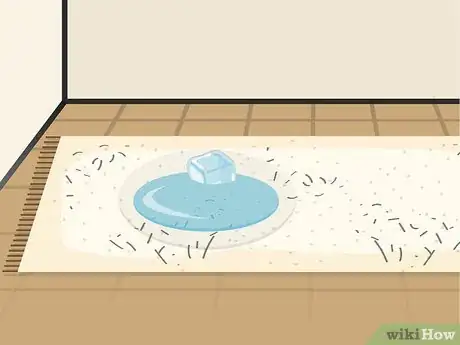 Imagen titulada Raise Flattened Pile Carpet Step 6