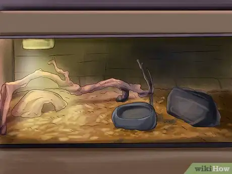 Imagen titulada Get a Pet Snake Step 6