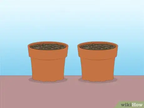 Imagen titulada Propagate Azaleas Step 33