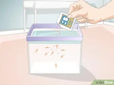 Imagen titulada Care for Sea Monkeys Step 5