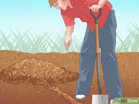 Imagen titulada Catch Moles Step 14