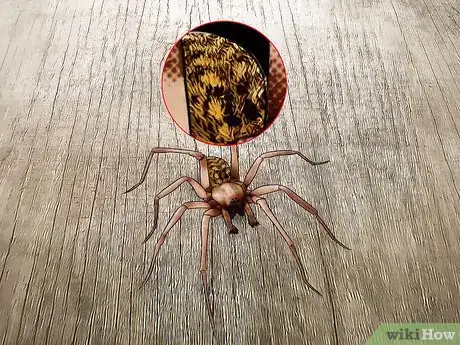 Imagen titulada Kill a Venomous Spider Step 6