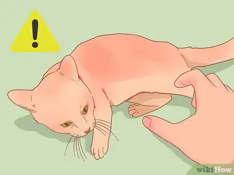 Imagen titulada Stop Your Cat from Attacking Your Dog Step 20