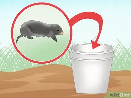 Imagen titulada Catch Moles Step 19