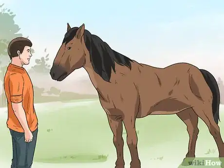 Imagen titulada Survive on a Runaway Horse Step 11